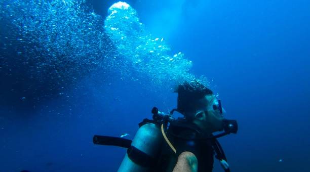 istock Japanese man diving 976467224
