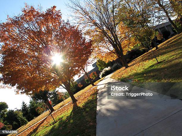 Outono Maravilhas - Fotografias de stock e mais imagens de Amor - Amor, Arkansas, Arranjar