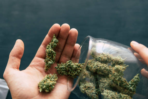 Cannabis consuming in Europe Cannabis consuming in Europe