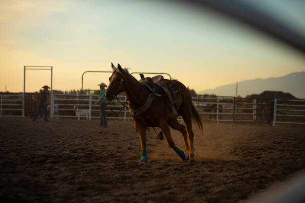 istock Horse without racer after team roping action 976480282