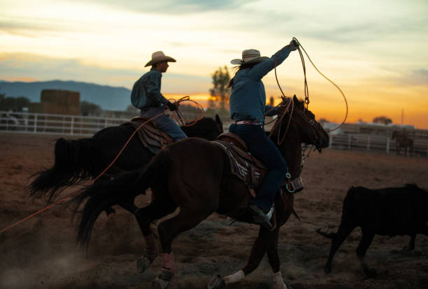 istock Girl on team roping rodeo action 976480466
