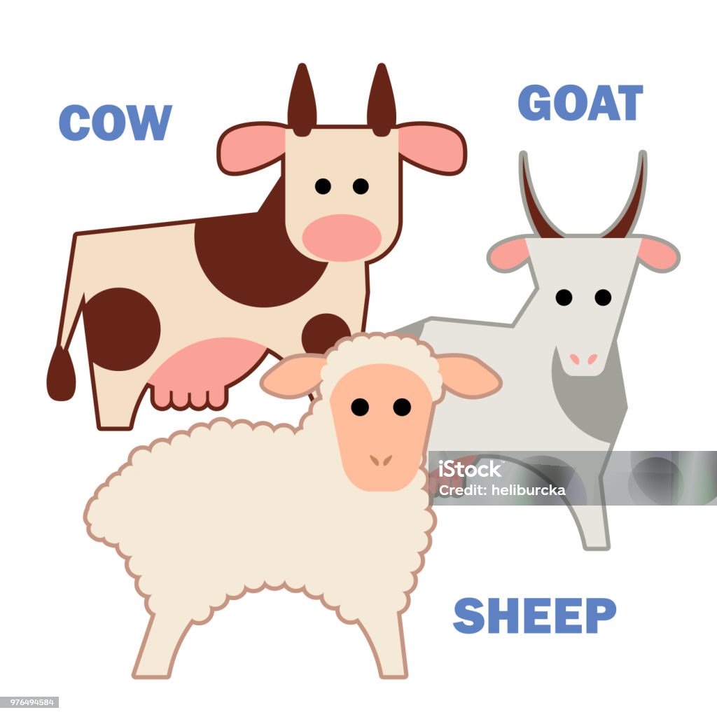 농장 동물 소 양 염소 절연 0명에 대한 스톡 벡터 아트 및 기타 이미지 - 0명, 교습, 교육 - iStock