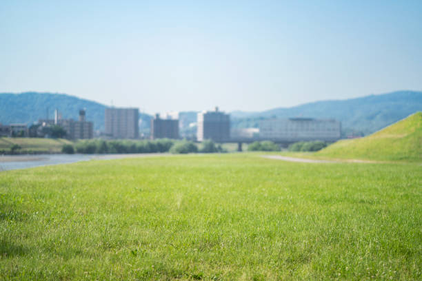 Urban Nature