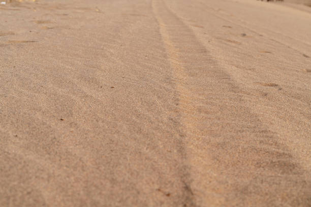 istock motor rut on the sands 976512546