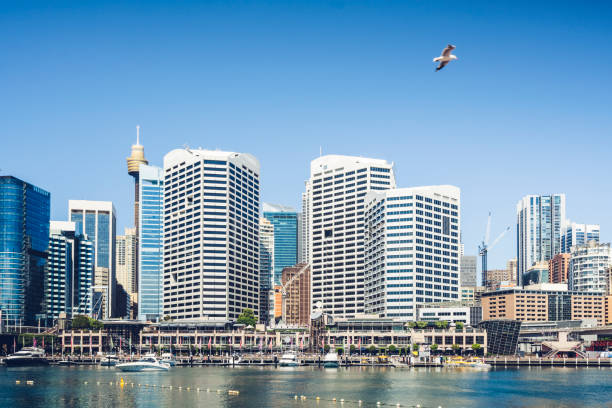istock Sydney cityscape with Centrepoint Tower against sky 976513320