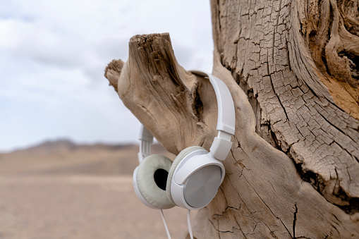 white headphone hung on dead tree in gobi desert