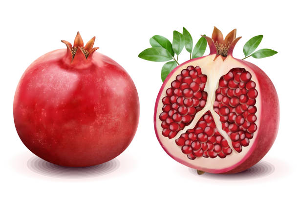 ilustrações de stock, clip art, desenhos animados e ícones de ripe pomegranates element - romã