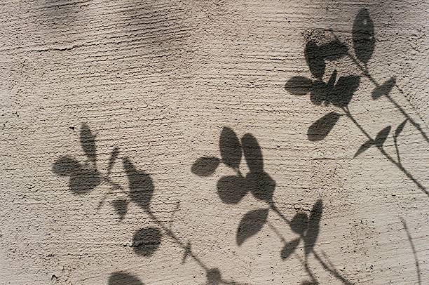 istock Shadows of Leaves On a Wall Background 97652245