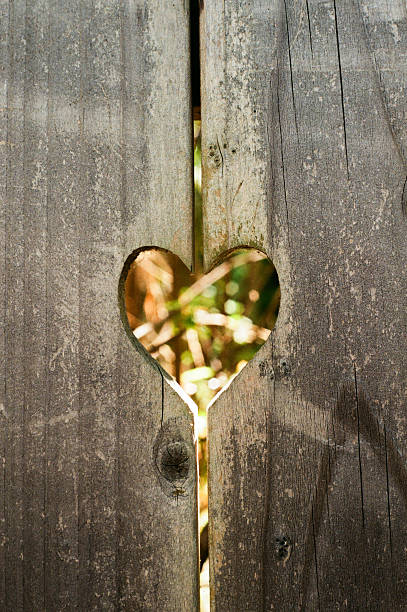 istock Amber Heart with Chevron and Knot 97652513