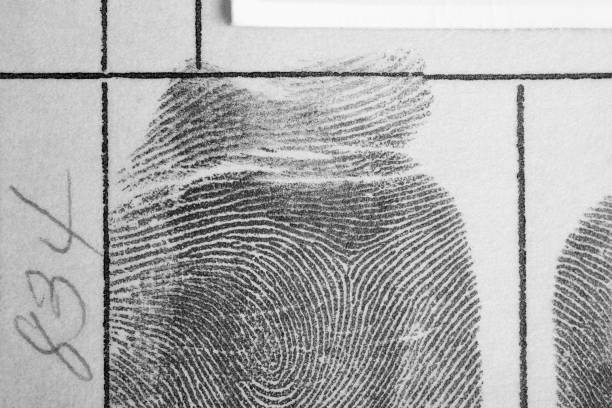 istock Digital ink fingerprint over a textured paper. Security control 976555402