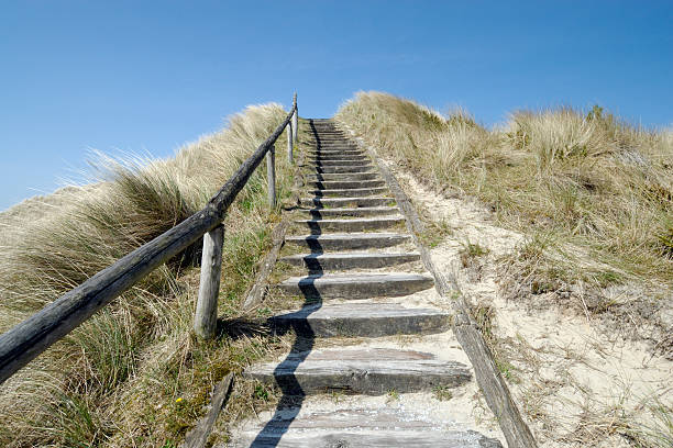 istock Stairs to the top of a dune 97655570