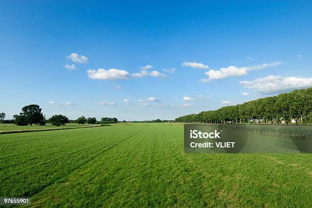 Field With Trees Stock Photo - Download Image Now - Agricultural Field, Agriculture, Blue