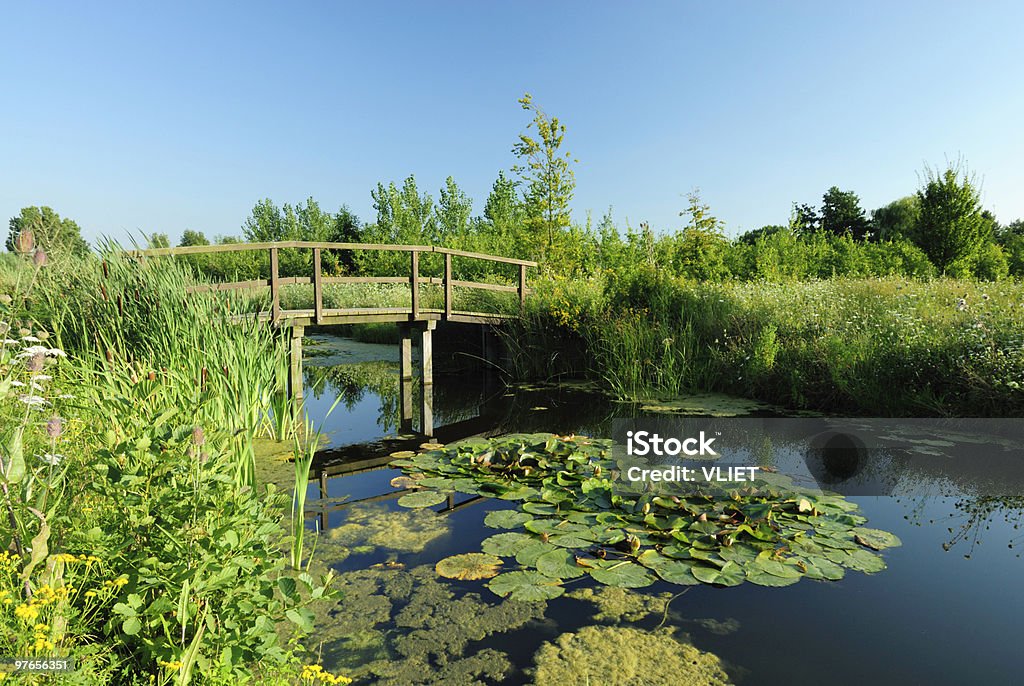 Park con borda y puente de madera - Foto de stock de Agua libre de derechos