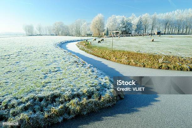 冬の風景 - オランダのストックフォトや画像を多数ご用意 - オランダ, カラー画像, ヒツジ