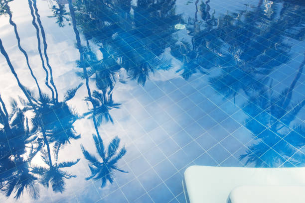 Reflection of palm trees over swimming pool