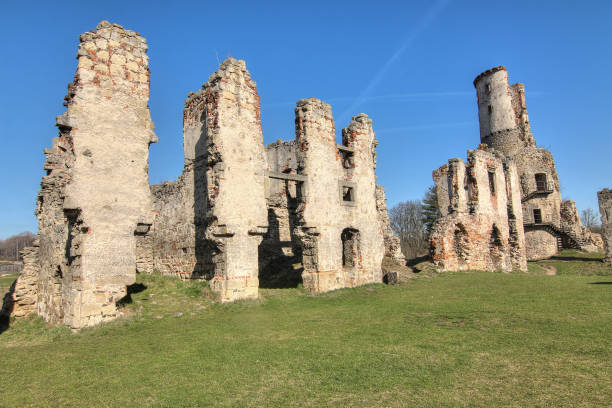 Ruins of Zviretice castle. Zviretice castle is extensive ruins of a castle from the 14th century, rebuilt into a Renaissance castle above the village Podhradi about 2 km southwest of Bakov nad Jizerou. Since 1958 the ruins are protected as a cultural monument of the Czech Republic.