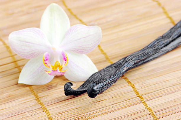 istock Orchid with vanilla beans on the mat 97656935