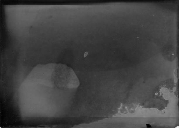 istock Old photographic paper useful as a layer in a photo editor 976569536