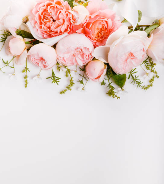 istock Festive flower composition on the white wooden background. Overhead view 976572648