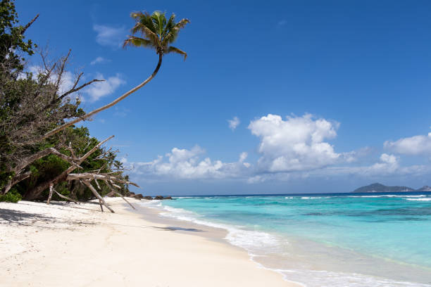 istock Tropical beach on Silhouette island, Seychelles 976582812
