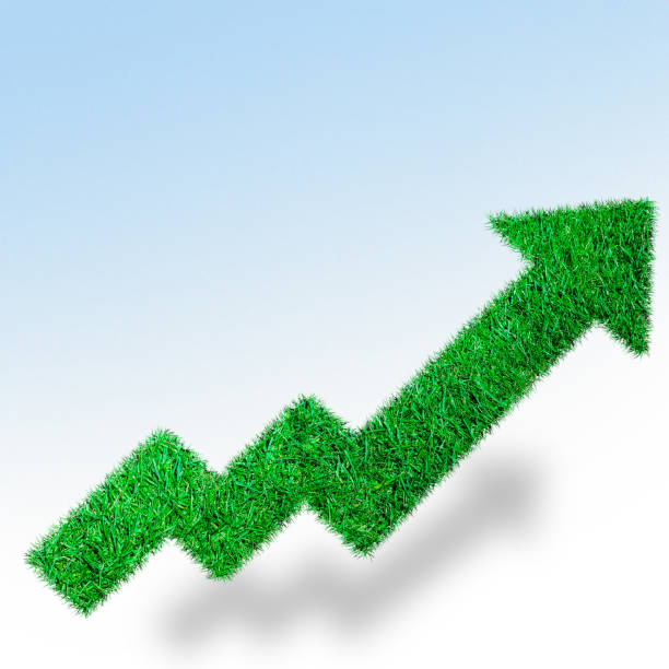 istock growth diagram of grass on white background 976597986