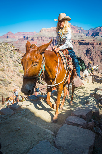 Female mule rider in cowboy hat trekking up the Kaibab Trail to the South Rim of the Grand Canyon, Arizona.