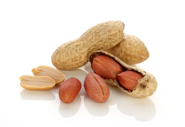 istock Dried peanuts in closeup 976601590