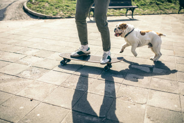 istock Man and dog in the park 976604118