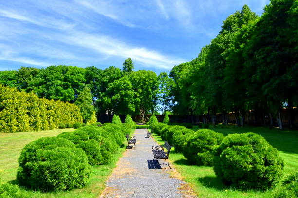 istock Public park with a big garden 976604806