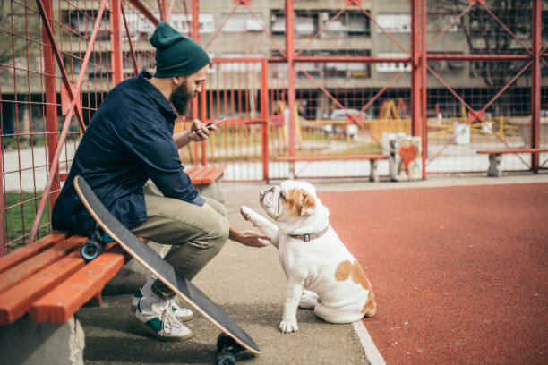 istock Man and dog in the park 976607396