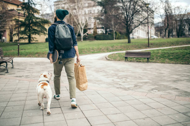 istock Man and dog in the park 976607644