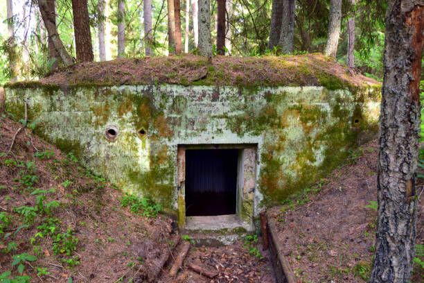istock Old abandoned bomb shelter in the forest 976611154