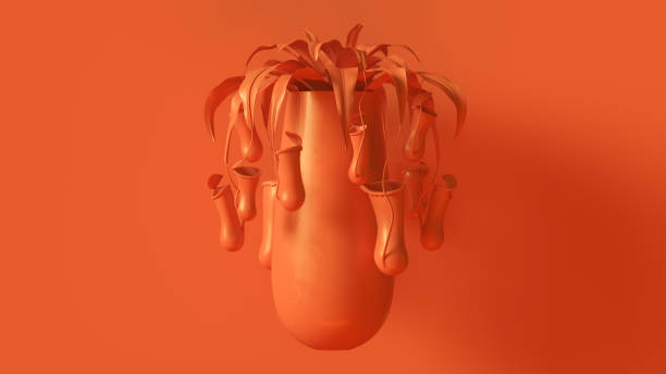 istock Orange Pitcher Plant with Orange Plant Pot 976621024