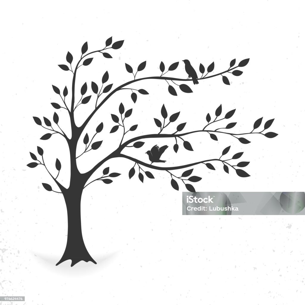 Tree with leaves and birds illustration tree with leaves and birds. Silhouette on white background. Tree stock vector