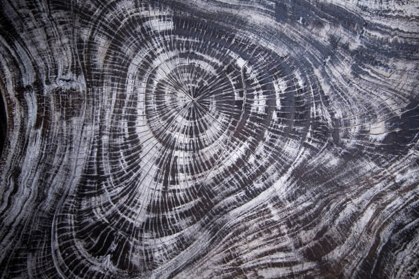 istock Wooden texture can be used as background 976625774