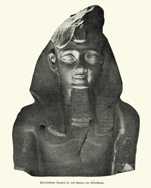 ilustrações, clipart, desenhos animados e ícones de estátua do faraó ramsés ii terceiro da dinastia do egito 19 - egyptian dynasty