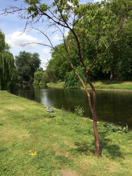 istock Regent's canal and park London 976645588