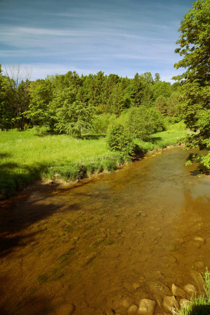 istock Park Toila-Oru, Toila, Estonia 976645648