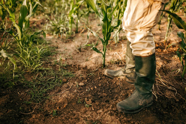 istock Farmers boots 976670172