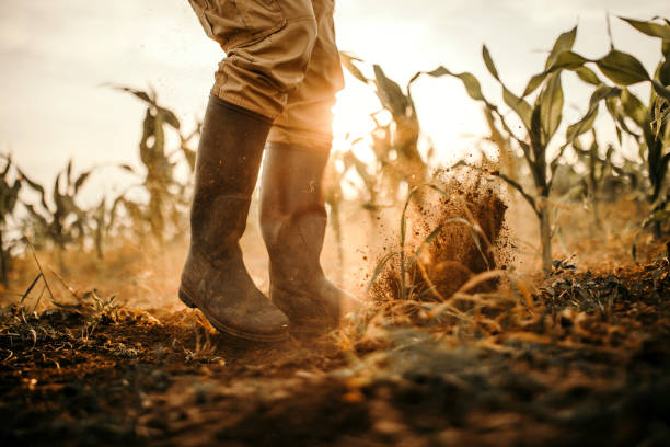 istock Farmers boots 976670374