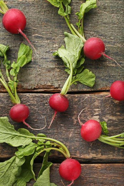 istock Red radishes on grey wooden table 976670392