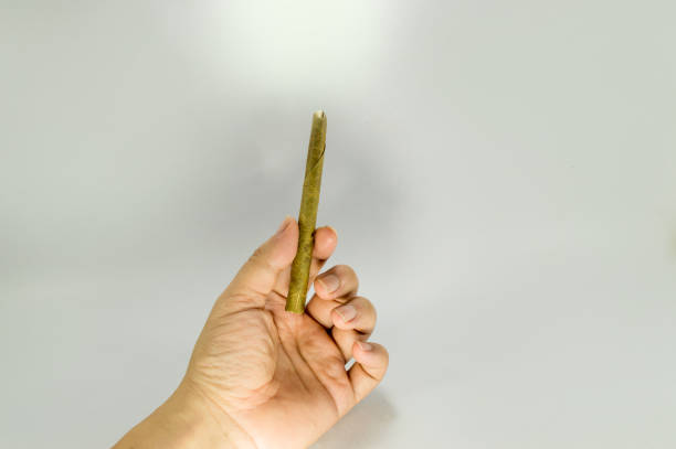 istock Hand holding a Native southeast asia cigarette. 976670800