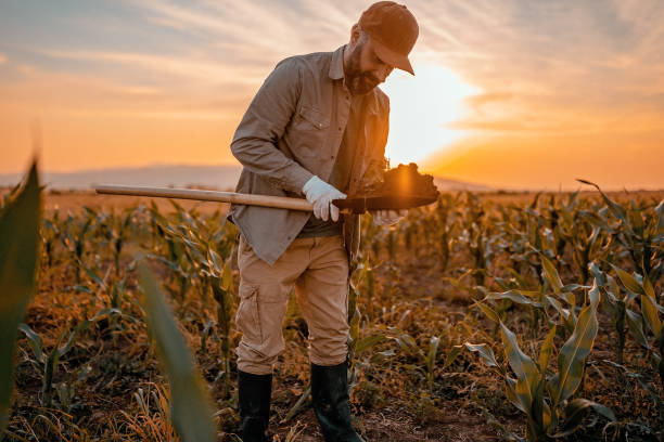 istock This is great land for planting 976671564