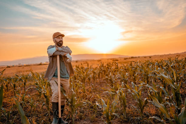 istock This is great land for planting 976683474