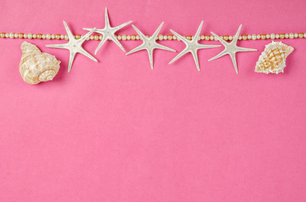 istock Seashells and starfish with free space 976685270