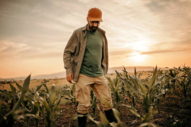 istock Farmer in the field 976693816
