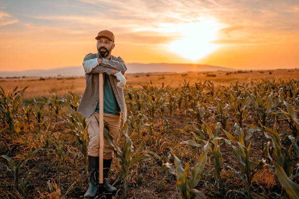 istock This is great land for planting 976707410