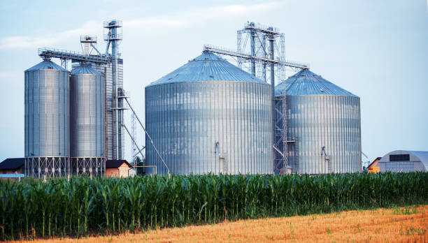Silos for storing grain harvest. Concept of agriculture and industry stock photo
