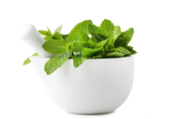 istock Fresh mint in mortar isolated on white 976720712