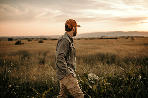 Successful farmer in the field